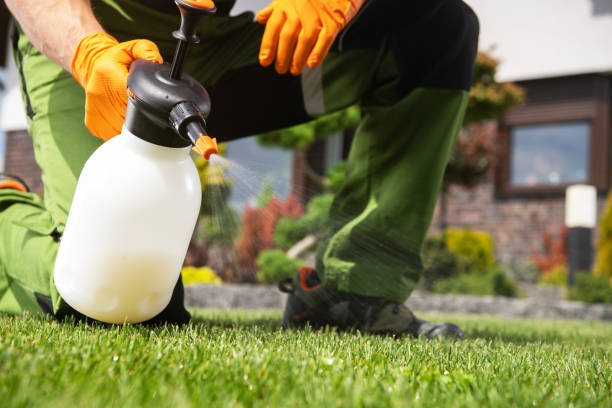 Best Pest Removal Services  in Chigan Center, MI