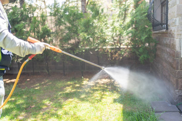 Best Cockroach Control Services  in Chigan Center, MI