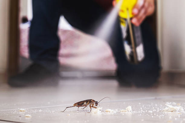 Michigan Center, MI Pest Control Company